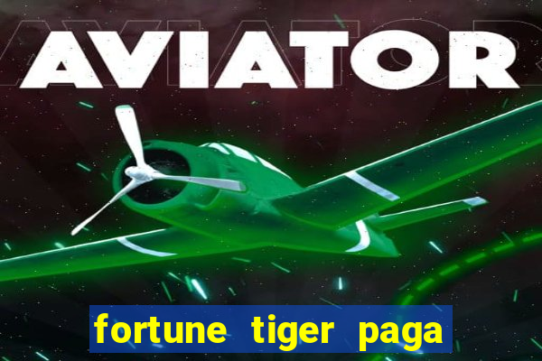 fortune tiger paga de madrugada